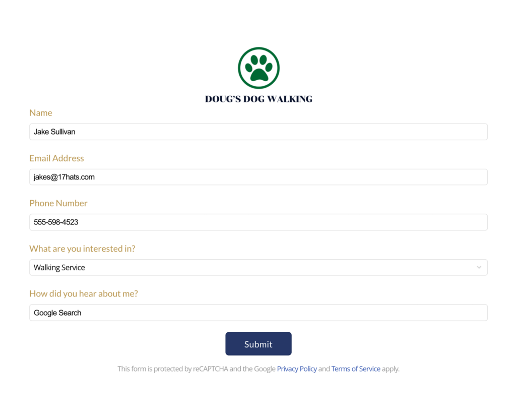 Lead Capture Forms Embed On your website